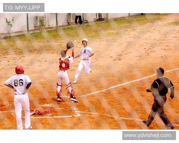 450名中小学生竞赛市体育传统校棒球竞赛 450名中小学生竞赛市体育传统校棒球竞赛